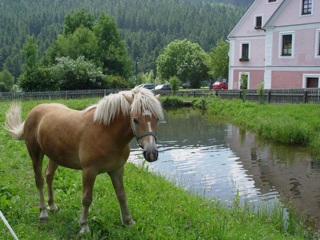 Готель Gasthof Simml Rettenegg Екстер'єр фото